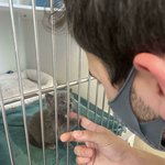 '<b>입양</b>'과 함께 시작된 우리의 행복