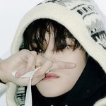 [NCT즌] 아샹근데아<b>개개</b>다잘