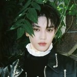 [NCT즌] 히발 <b>극락</b>임