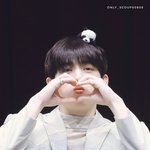 [세븐틴] 볼<b>빵</b>쿱쯔
