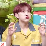 [세븐틴] 호<b>싱이</b>