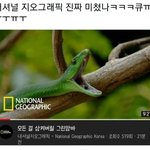 [드루와] 와 <b>안산</b>