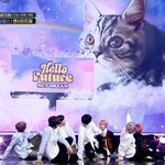 엔시티 에스파 이 고양이 뭐임..?