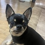 얘들아 파우치 머<b>사지</b>