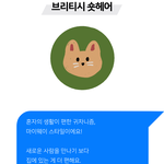 [NCT즌] 브리티시 숏헤어