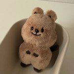 [NCT즌] <b>인형</b> 골라줘!!!!!
