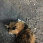 [드루와] 이렇게 보면 내 썸남이 진짜 대단한 듯