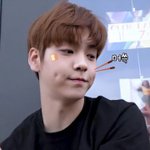 [TXT] 난난나 갈발통빈이 사랑함