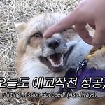 [에이티즈] <b>동물</b>농장보는데 정우영이 겹쳐보이면