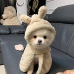 [댓글부탁해] esfp랑 <b>intj</b> 궁합 어때