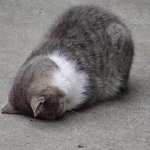 [댓글부탁해] <b>헬로</b>톡 하는애들 있어?