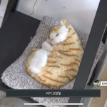 [더보이즈] 이주연 자기소개하네