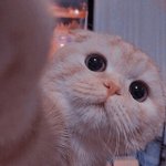 [추반] <b>톡선</b>에 김제덕 그 글