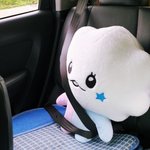 [트레저] 안전<b>벨트</b> 매는 솜이