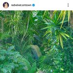 [NCT즌] <b>타</b>돌언급ㅈㅅ) ㄹㄷㅂㅂ 인스타 티저 <b>봄</b>?