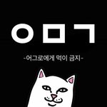 슈가 고양이