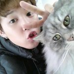[군대] <b>지민이</b> 고양이