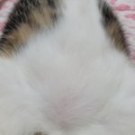 [19] <b>빛삭</b>