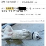 애들아 여기와서 ~~<b>남혐</b>단어 맞음 이러는 글 싹다 병먹금 하면 됨