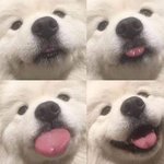 [NCT즌] <b>멍멍이</b>