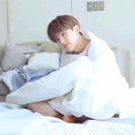 [세븐틴] <b>기요미</b> 햄지