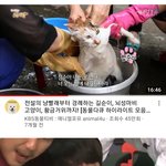 [댓글부탁해] 내 유투부 알고리즘 왜 이럼...?