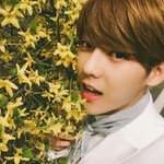 [BTOB] 이민혁 <b>다람쥐</b>