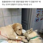 [댓글부탁해] 공부 잘하는 고딩들아 비문학 좀 알려줘ㅠㅠㅠㅠ