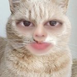 [스키즈] 이렇게 보니까 나 창빈이랑 <b>현진</b>이랑 구별 못함