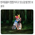 부산 열일곱 <b>질문바듬</b> 칼답!!