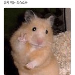 [엔하이픈] 희승이 위버스에서