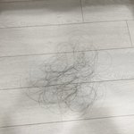 [댓글부탁해] <b>이</b>정도면 탈<b>모야</b>?