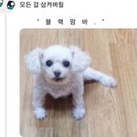 [19] 얘들아 나 오늘 <b>탐폰</b> 처음 써봤는데