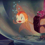 [댓글부탁해] 아이씨 국대 선수 이름 <b>욜라</b> 헷갈림