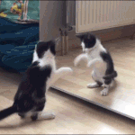 [<b>YG</b>] 진짜 이런 게