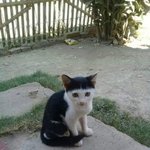 [드루와] 에스파 팬덤 트패미밭임?