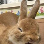 [군대] 9월 1일 <b>코앞</b>이네