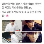 [더보이즈] 꽃분이네 <b>사업자</b> 왜 이상연 명의임