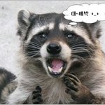 [<b>YG</b>] 다들 어쩜 그리