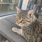 [NCT즌] <b>아침</b> <b>산책</b> 하고 와쪄