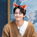 여우컬렉터에게 여우 좀 주세요