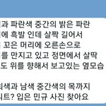 [세븐틴] 근데 고독방은 참 대단함