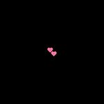 <b>강쥐</b>