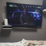 강아지랑 <b>티비</b>보는중