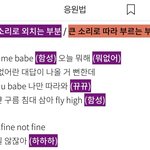 흔한 아이돌이 짠 응원법.