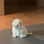 [NCT즌] 짹 돌아다니다가 <b>저장</b>했눈데