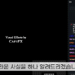 주펄  침착맨 천생연분 아니야?