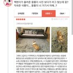 뉘집 아들이 이렇게 애교쟁이<b>효자</b>야