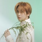 [펜타곤] 혹시 <b>이사진</b>
