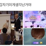[NCT즌] 헐 얘들아 진짜 고양이에 뭐가 있나??